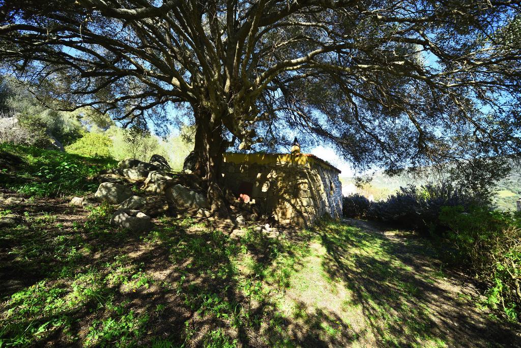 Villa Lu Rotu Sant'Antonio di Gallura Exterior foto