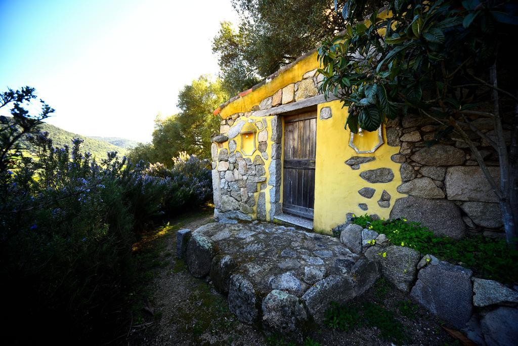 Villa Lu Rotu Sant'Antonio di Gallura Exterior foto