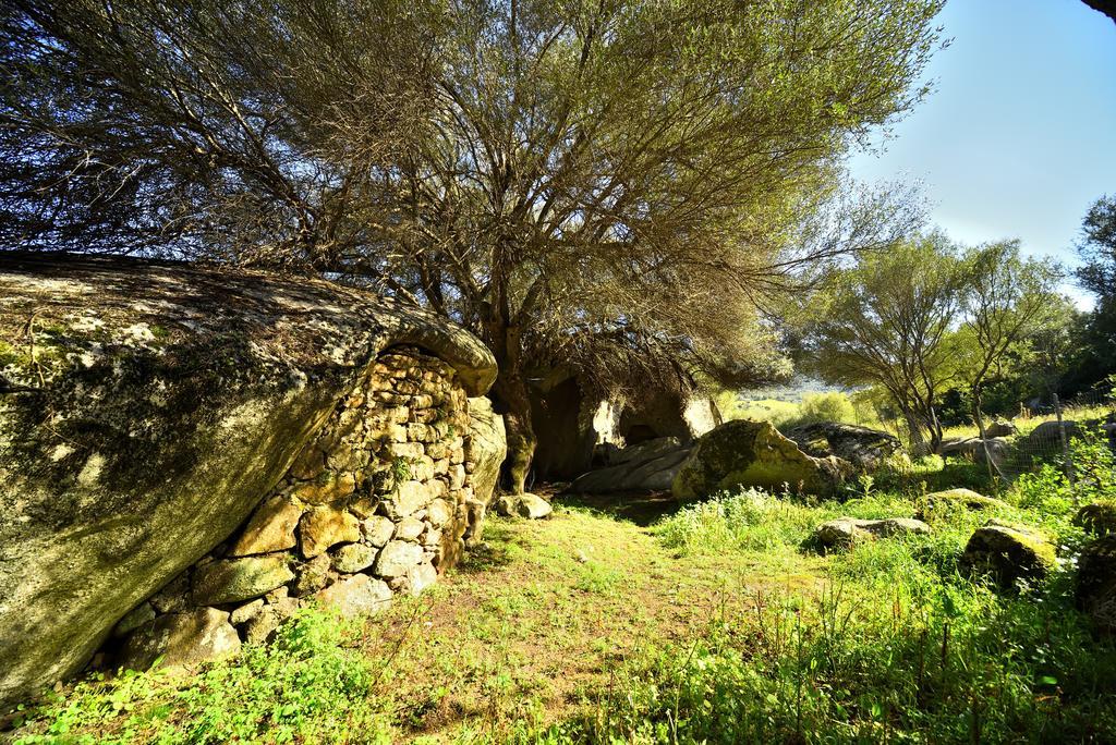 Villa Lu Rotu Sant'Antonio di Gallura Exterior foto