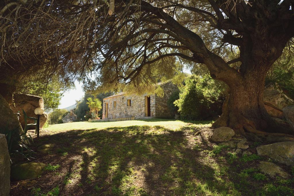 Villa Lu Rotu Sant'Antonio di Gallura Exterior foto